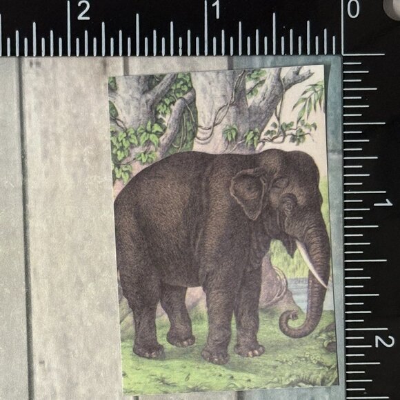 ๐10/$10๐ Classic Grassland Animals Reusable Washi Sticker Decal - Picture 1 of 1